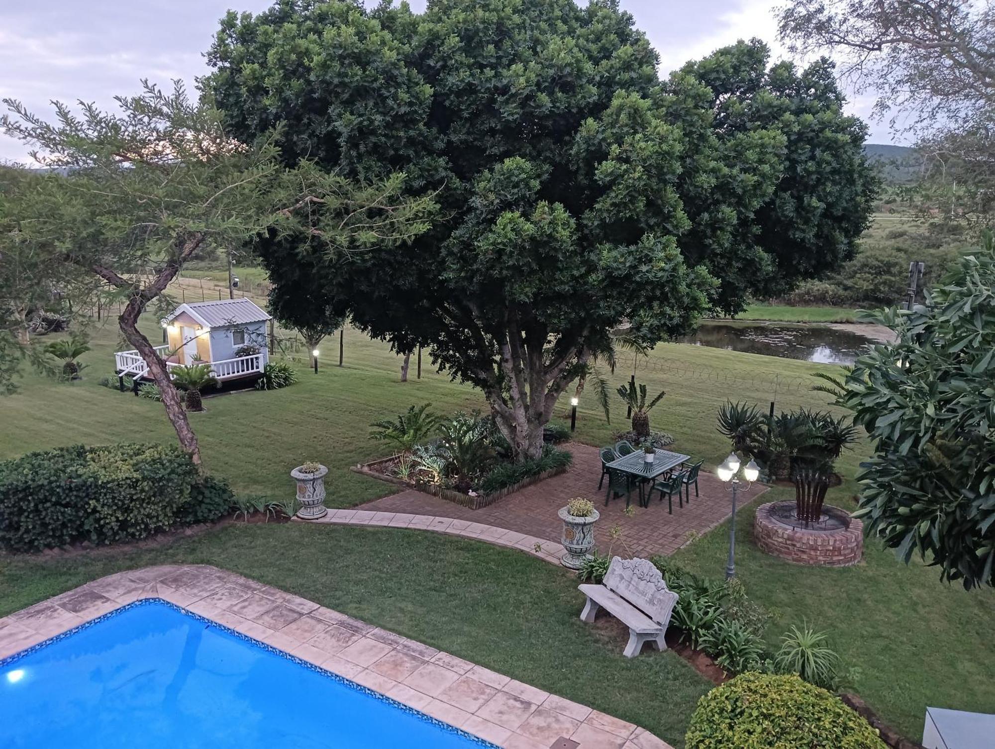Little Tree Loft 2 Bed & Breakfast Uitenhage Bagian luar foto